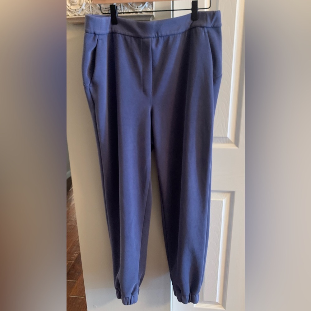 Lululemon Athletica Women’s Navy Joggers - SZ 12